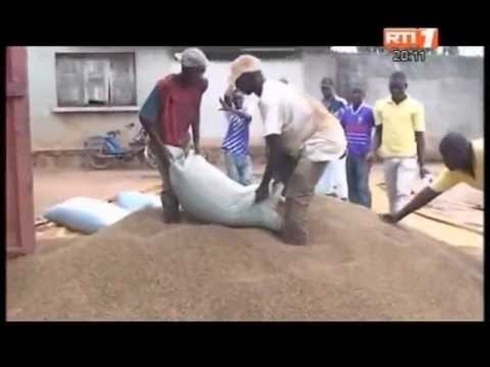 2ème Jour du procès des ex barons de la filière Café Cacao: Les révelations de Tapé Doh