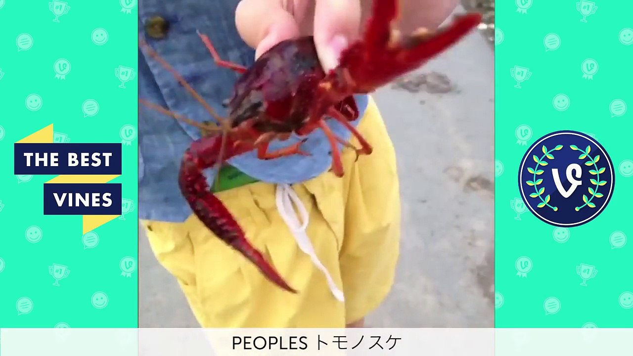 TRY NOT TO LAUGH OR GRIN Japanese Edition - WTF Japan Funny Compilation - Downloaded from youpak.com