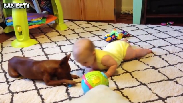 Cute Dogs and Babies Crawling Together - Adorable babies Compilation-IEEo5pIKeY0