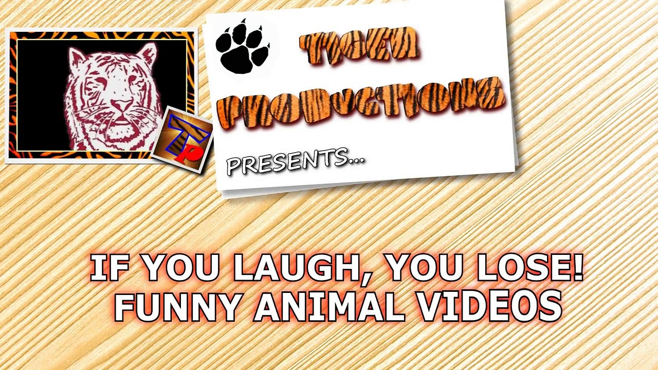 IF YOU LAUGH, YOU LOSE - The funniest ANIMAL videos ever!-efntWhKG554