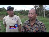 Monyet Liar Rusak Ladang Jagung Warga Sumenep - NET24
