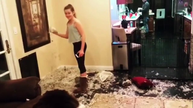 Il a fallut 5 min à ce chien pour tout ravager dans ce salon