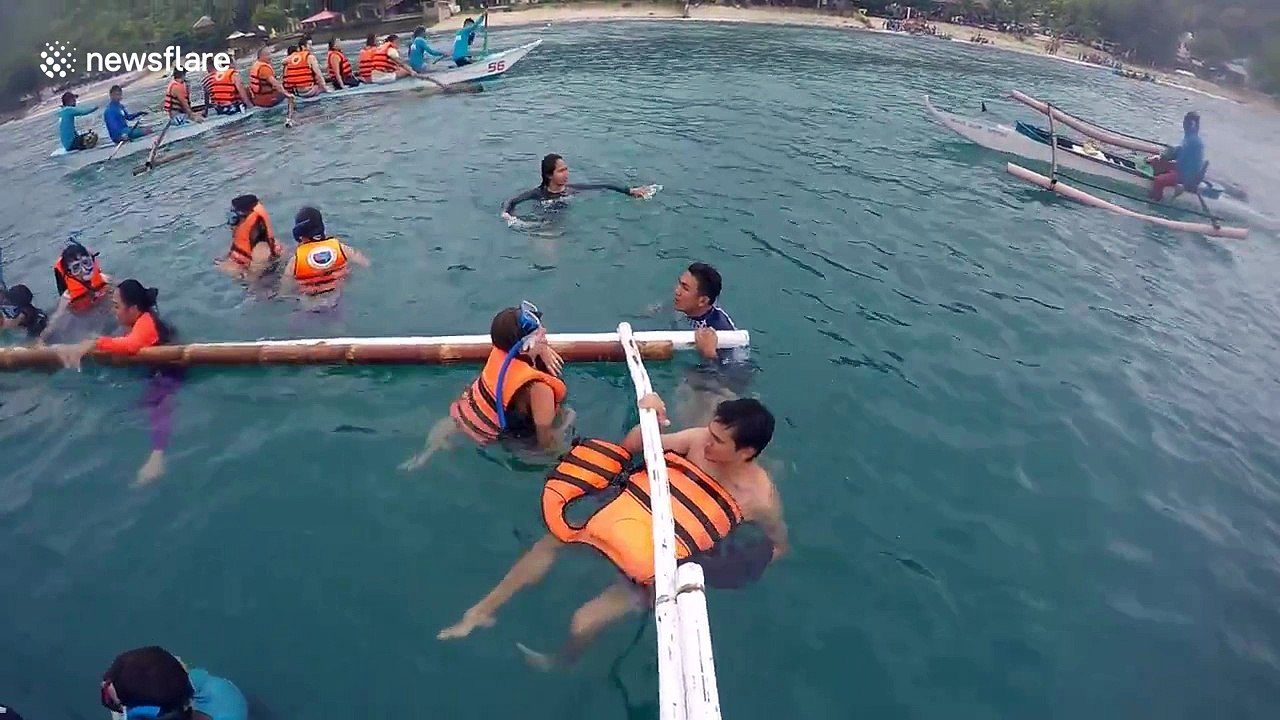 Close encounter with large whale sharks