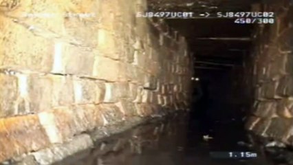 4 Mysterious Creatures Caught On Camera. Video Real!