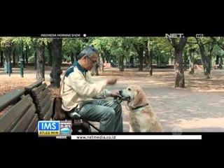 Serba Serbi Film Pengantar Surat Dari Praha - IMS