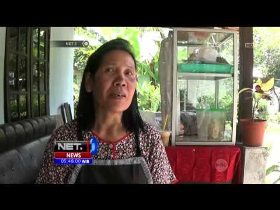 Inovasi Olahan Makanan dari Daun Pegagan di Yogyakarta - NET5