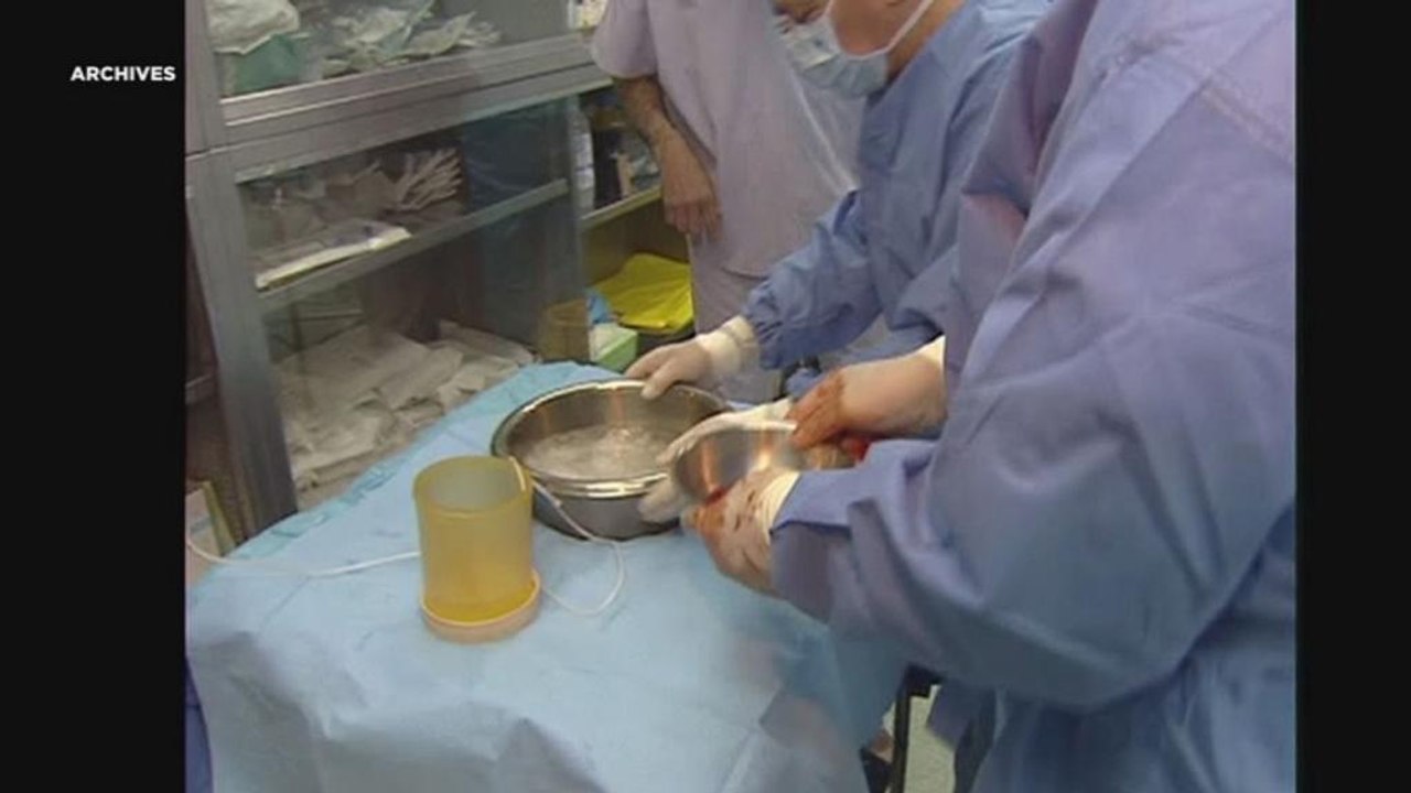 Ватикан: участие Китая критически важно для борьбы с торговлей органами