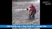 Amazing Man Rescues Dog From Freezing Water Video 2017 _ Daily Heart Beat-W5fs092pFJM