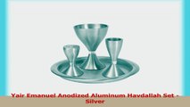 Yair Emanuel Anodized Aluminum Havdallah Set  Silver 6e827882