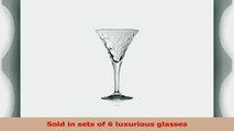 Laurus Champagne Flute Set of 6 03865699