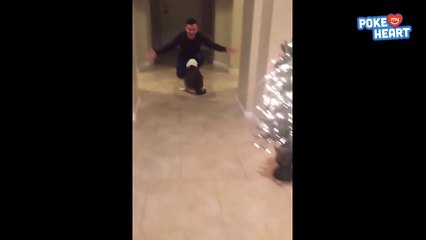 Sweet Dog Reunion Pet Video 2017 _ Daily Heart Beat-Ky5poGD-h_I