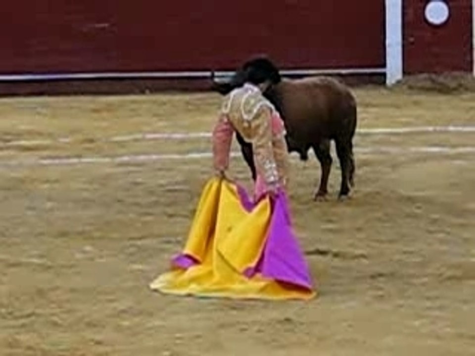 jose tomas  corrida 07