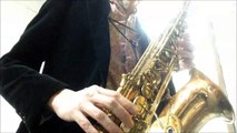 Bonnie Raitt - I Can't Make You Love Me on Alto Saxophone