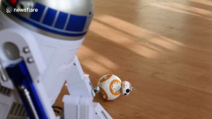 Puppy lab plays with Star Wars robots