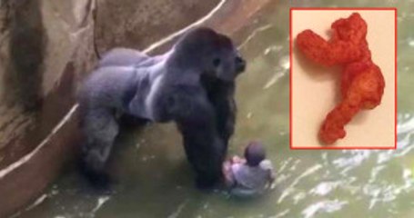 'Harambe'ye Benzeyen Cips 100 Bin Dolara Satıldı