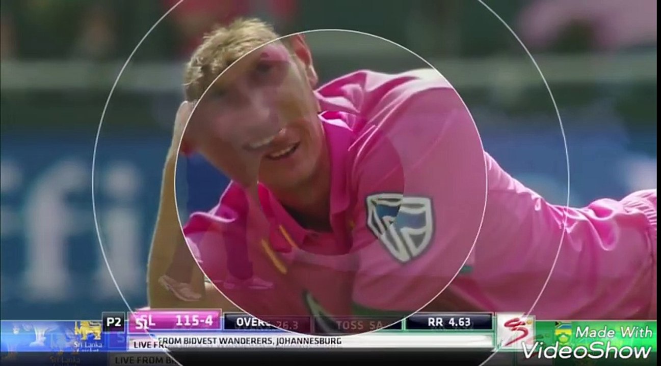Bees attack on live cricket match SL vs SA Everyone on the ground