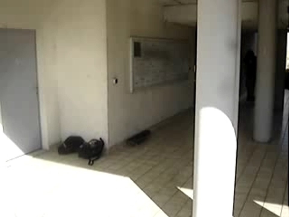 boardslide
