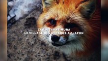 Ce village japonais entièrement peuplé de renards fait le bonheur des touristes. Vous allez fondre !