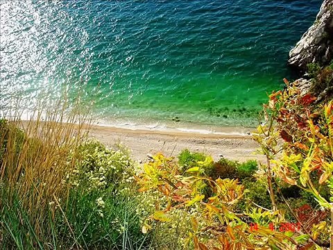 URDU CLASSIC GAZAL Aye-Mere-Hamnasheen-Chal-Kaheen-Aur-Chal