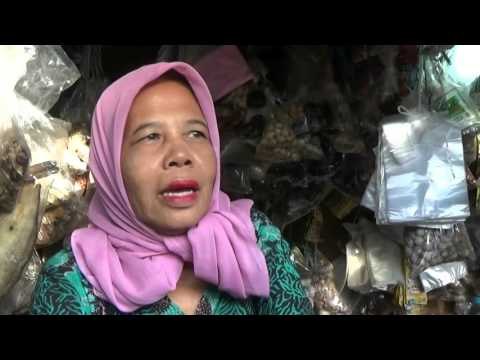 Hujan Abu Vulkanis Rusak Puluhan Hektar Pertanian Warga Sekitar Lereng - NET12