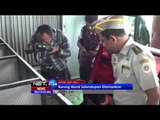 Burung Murai Selundupan Diamankan di Batam - NET24