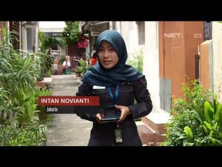 Penyebaran Nyamuk Mandul Guna Mengurangi Wabah DBD - NET10
