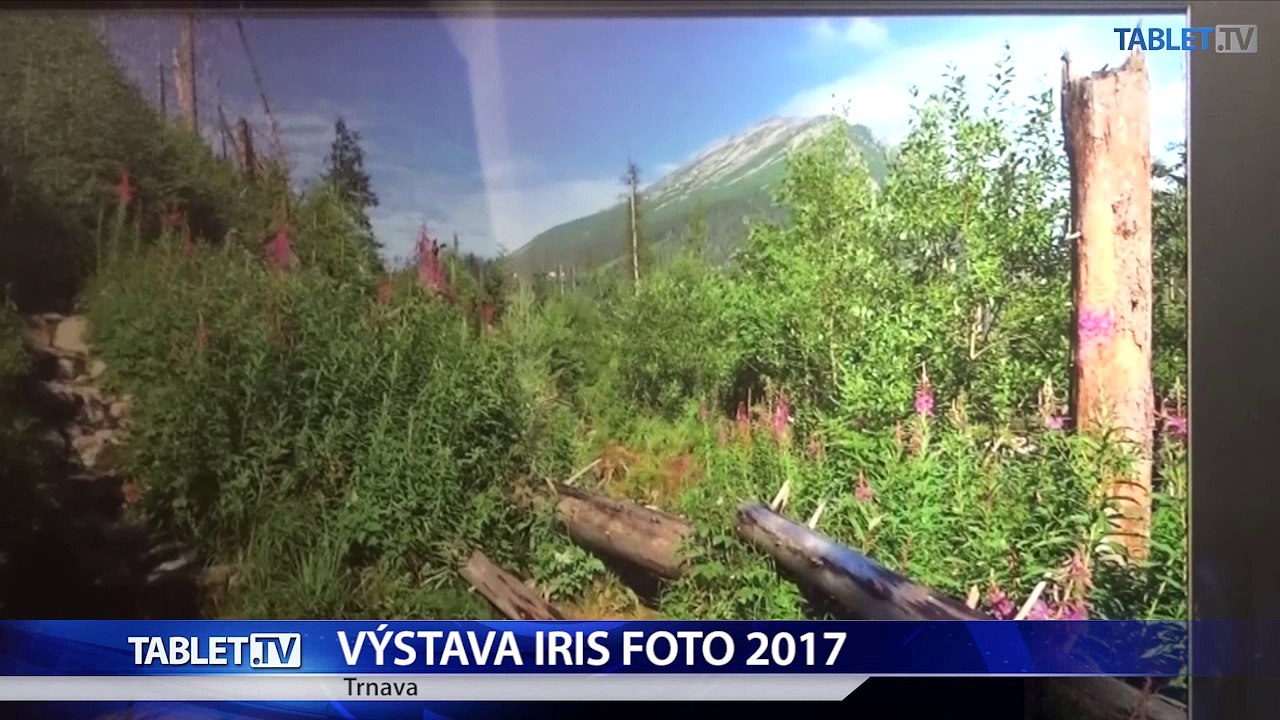 Amatérski fotografi vystavujú v trnavskej radnici
