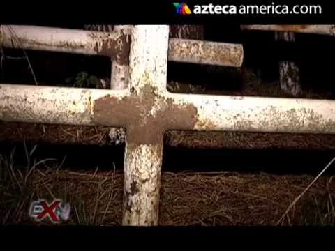 Prácticas de santería / Extranormal