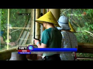 Diambang Kepunahan, Konservasi Jalak Bali Dikembangkan - NET12