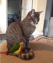 OMG She is So Adorable cute and funny | Don't miss it