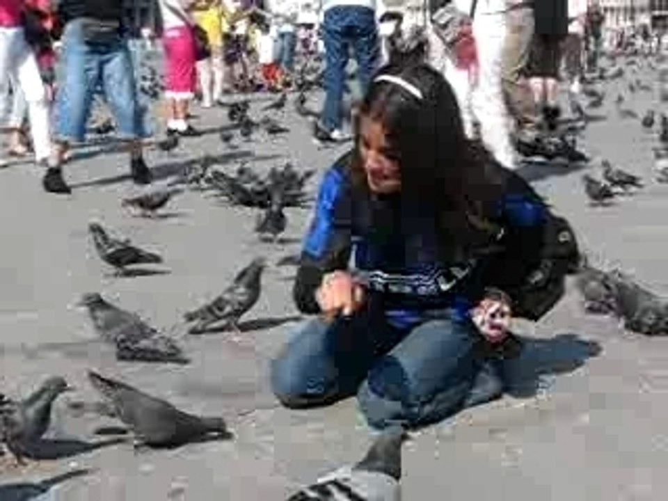 Garance et les piegons