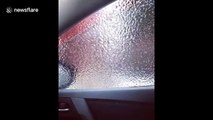 Woman rolls down window after freezing rain storm in Canada and gets a surprise