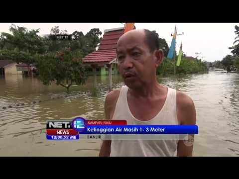 Banjir Hasil Luapan Sungai Kampar Mengganggu Aktifitas Warga - NET12