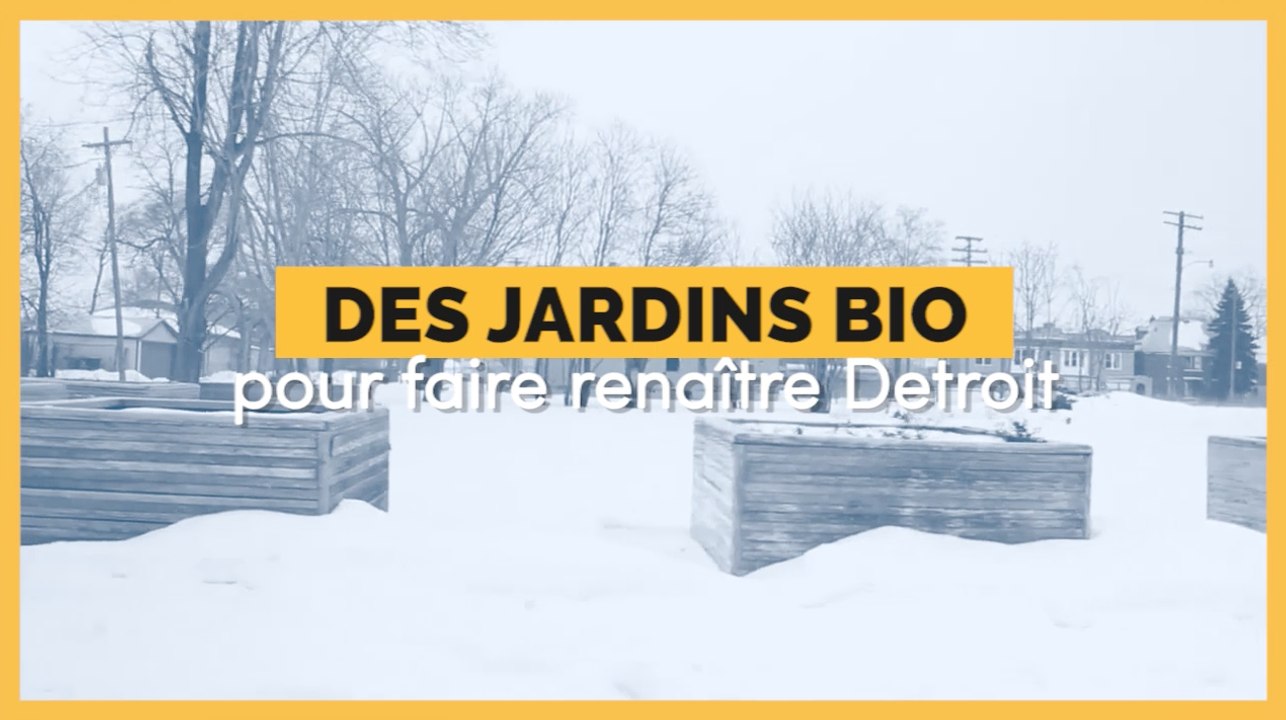 La ville de Detroit renaît grâce aux jardins bio collaboratifs