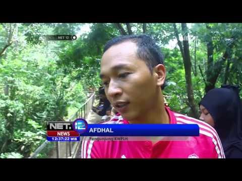 Wisata Edukatif Pelajari Habitat Beruang Madu di Konservasi - NET12