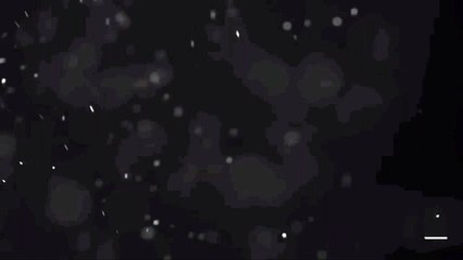 Minha Intro