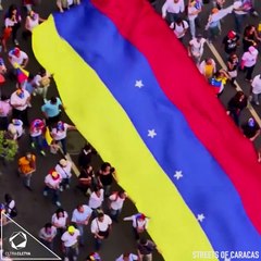 CRISIS DE MASCOTAS EN VENEZUELA