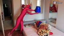 SPIDERMAN & PINK SPIDERGIRL Sleeping Pranks w/ IRONMAN - Superheroes Fun IRL :)