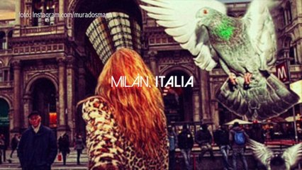 postales de un amor sin fronteras