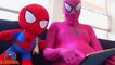 Pink Spidergirl Pregnant SPIDERBABY Quadruplets Spiderman Funny Superhero Videos Prank Videos