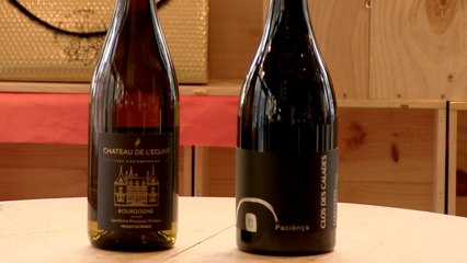 Quels vins servir pour la Saint Valentin ?