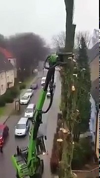 MAQUINAS INCRIVEIS | Hasvester - Cortadora de arvores