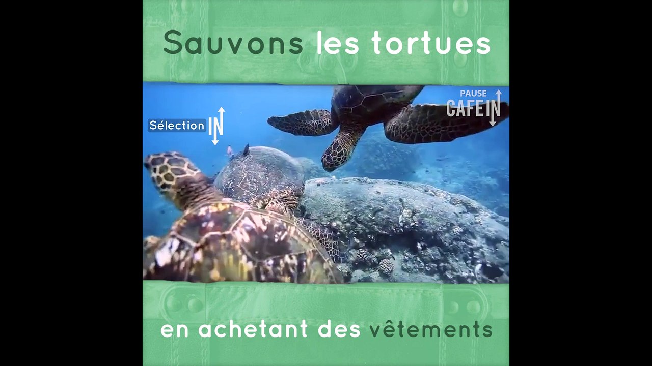 Sauvez les tortues grâce à ces vêtements !