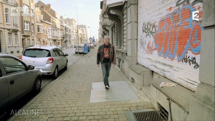 Alcaline, Les Victoires de la musique 2017 - "Artiste masculin"