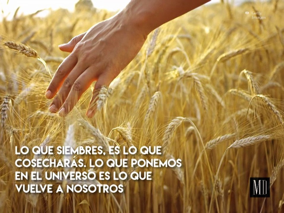 Leyes del karma