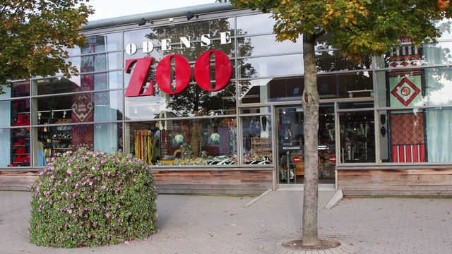 Pingüinos intentan escapar de zoológico de Dinamarca