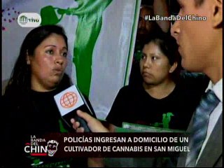 Nota - Policias ingresan a Domicilio de un cultivador de Cannabis en San Miguel