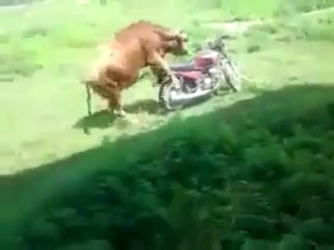 Bu nasil bir yokluktur arkadaş