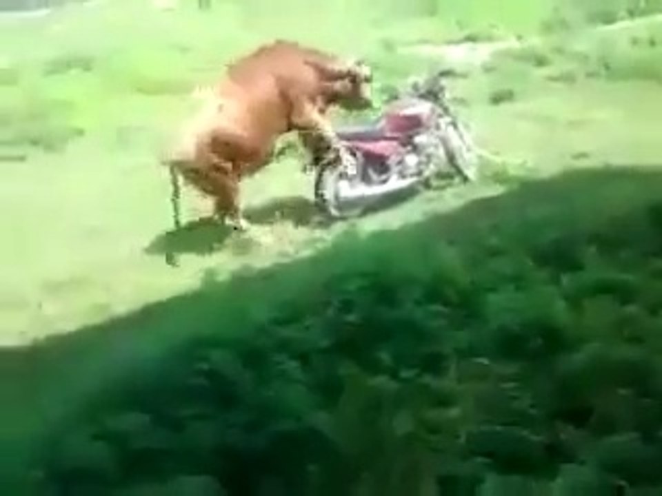 Bu nasil bir yokluktur arkadaş