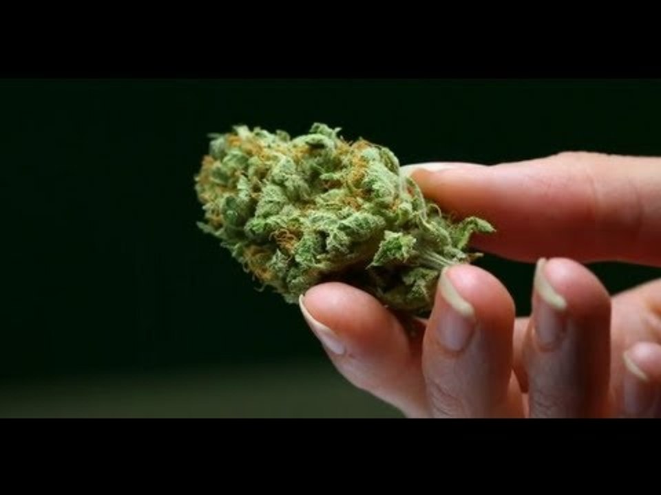Cool Hunting Video: NW Cannabis Market